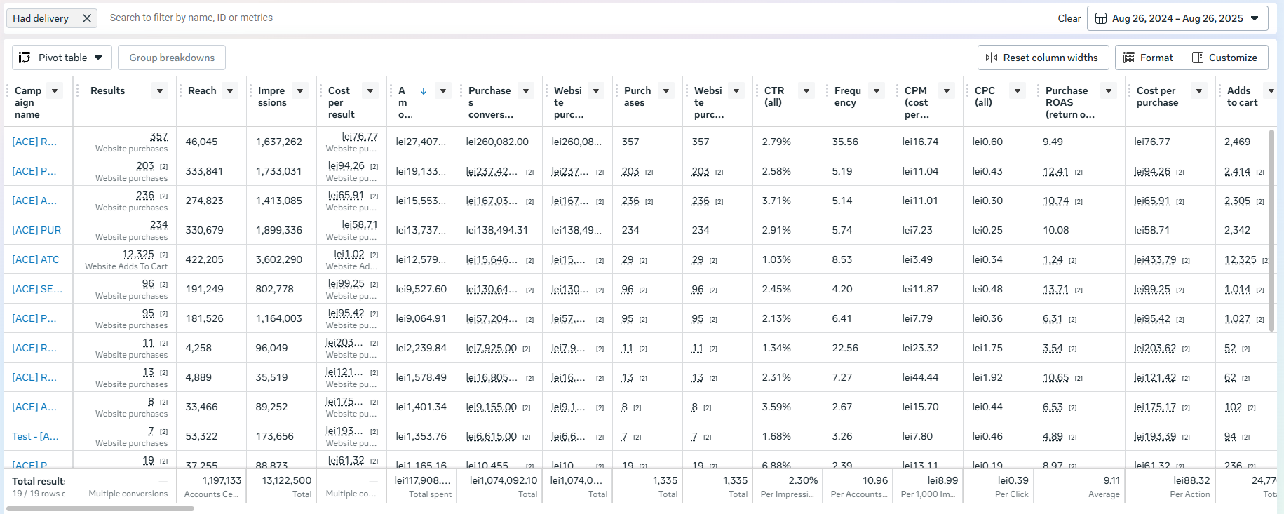 CU ACE (1 an) - Meta Ads Manager
